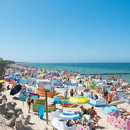 Alexander & - Caloroczny Kryty Basen Aparthotel