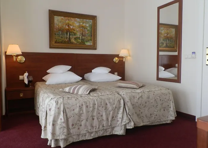 Apartahotel Alexander & - Caloroczny Kryty Basen