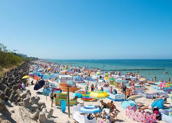 Alexander & - Caloroczny Kryty Basen Apartahotel