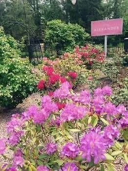 Hotel apartamentowy Alexander Resort&spa - Caloroczny Kryty Basen